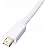 AmazonBasic Mini DisplayPort (Thunderbolt) to HDMI Adapter - White