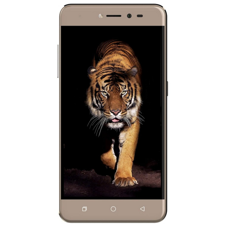 Coolpad Note 5 Lite (Royal Gold, 3GB RAM + 32GB) (Refurbished)