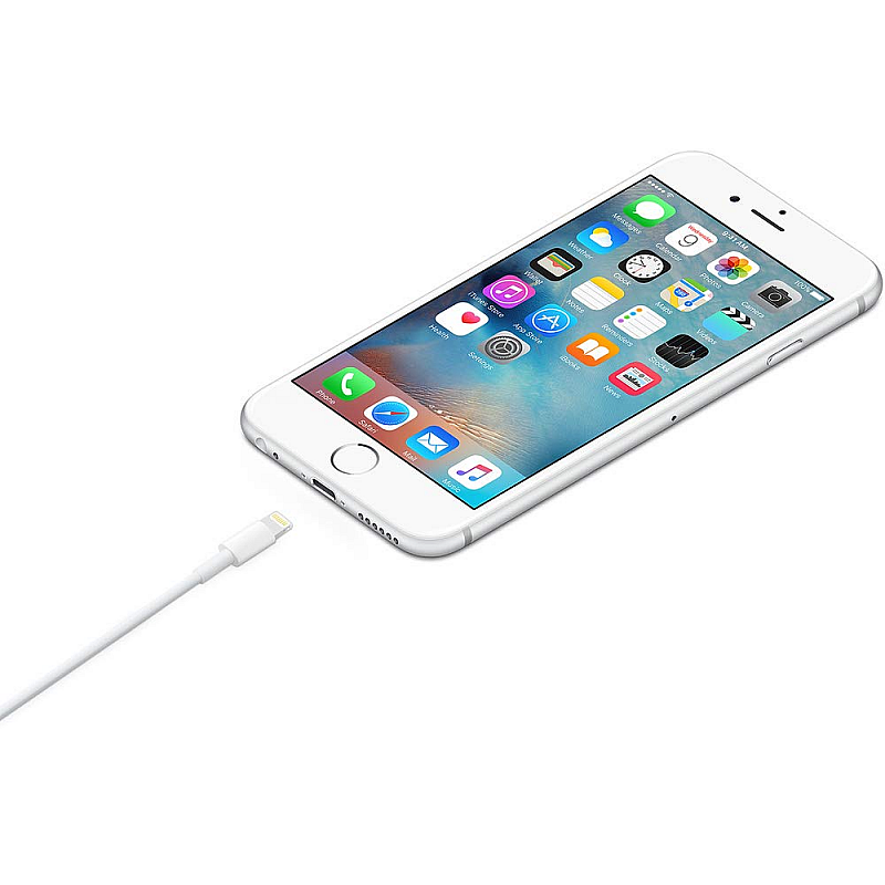 Apple Lightning to USB Cable (1 m)