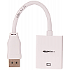 amazon basics DisplayPort to HDMI Adapter