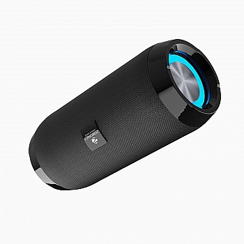 Zebronics Zeb-Action Wireless 10W Portable Speaker, Supporting Bluetooth v5.1, TWS, RGB Lights, Fabric Finish (Black)