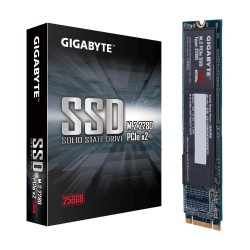 Gigabyte M.2 PCIe 256GB SSD (GP-GSM2NE8256GNTD)