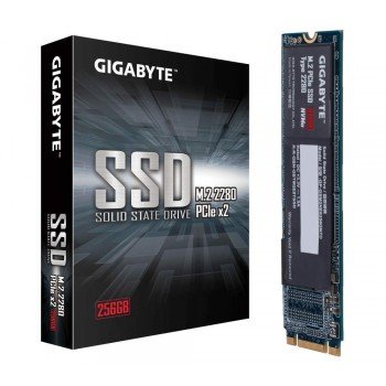 Gigabyte M.2 PCIe 256GB SSD (GP-GSM2NE8256GNTD) SSD 