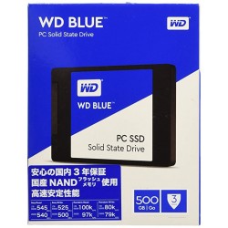 Western Digital Blue 500GB Internal Solid State Drive (WDS500G1B0A) 