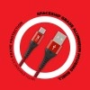 boAt Micro USB Cable 2 A 1.5 m Micro USB 550  (Compatible with Laptop, Mobile, Tablet, Martian Red)