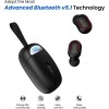 PTron Basspods 381 In-Ear True Wireless Bluetooth 5.1 Headphones with Deep Bass, 5 Hrs Playtime, Passive Noise Cancelation Earbuds