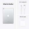 2021 Apple 10.2-inch (25.91 cm) iPad with A13 Bionic chip (Wi-Fi + Cellular, 64GB) - Silver (9th Generation) 2021 Apple 10.2-inch (25.91 cm) iPad with A13 Bionic chip (Wi-Fi + Cellular, 64GB) - Silver (9th Generation)