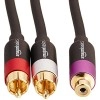 amazon basics 2-Male To 1-Female Rca Y-Splitter Adapter Cable For Dvd Player Gold amazon basics 2-Male To 1-Female Rca Y-Splitter Adapter Cable For Dvd Player Gold
