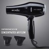 Ikonic 2500+ Professional Hair Dryer, Black, 2500W with Powerful AC motor, 2 speed and 3 heat settings with Cool shot, 2 Interchangeable Nozzles, Hang up loop, Control Frizz, All Hair Type