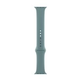 Apple Watch Sport Band (44mm) - Cactus - Regular 