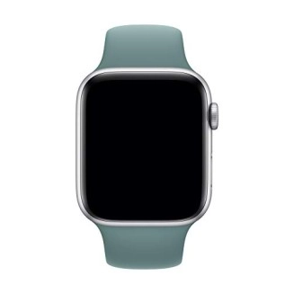 Apple Watch Sport Band (44mm) - Cactus - Regular 