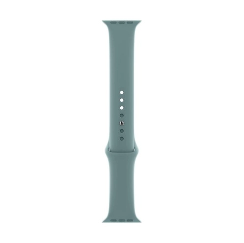Apple Watch Sport Band (44mm) - Cactus - Regular 