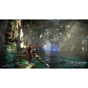 Sony Horizon Forbidden West Standard Edition PS5 Game PlayStation 5