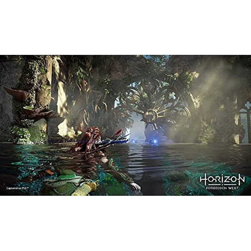 Sony Horizon Forbidden West Standard Edition PS5 Game PlayStation 5 Sony Horizon Forbidden West Standard Edition PS5 Game PlayStation 5