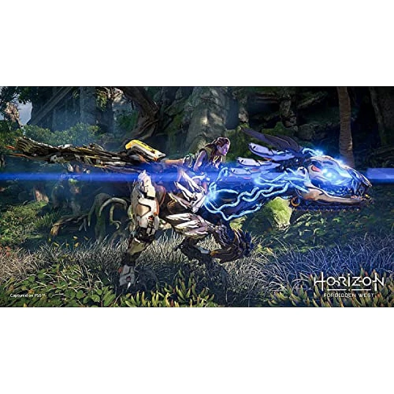 Sony Horizon Forbidden West Standard Edition PS5 Game PlayStation 5 Sony Horizon Forbidden West Standard Edition PS5 Game PlayStation 5