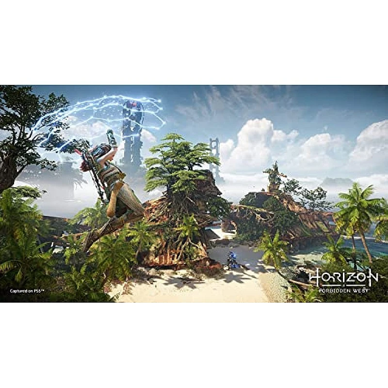 Sony Horizon Forbidden West Standard Edition PS5 Game PlayStation 5 Sony Horizon Forbidden West Standard Edition PS5 Game PlayStation 5