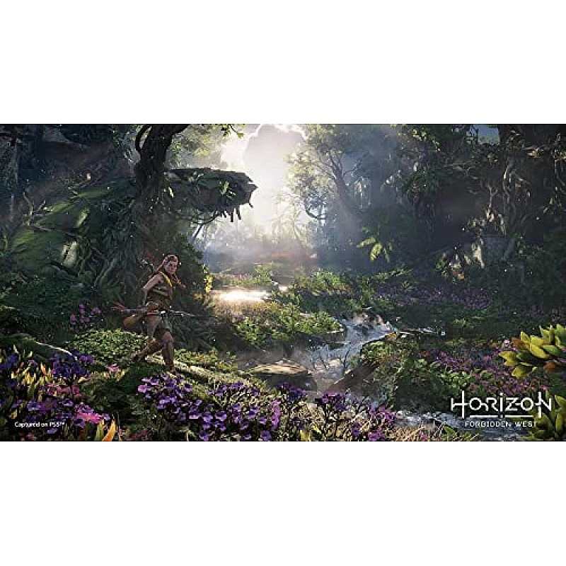 Sony Horizon Forbidden West Standard Edition PS5 Game PlayStation 5 Sony Horizon Forbidden West Standard Edition PS5 Game PlayStation 5