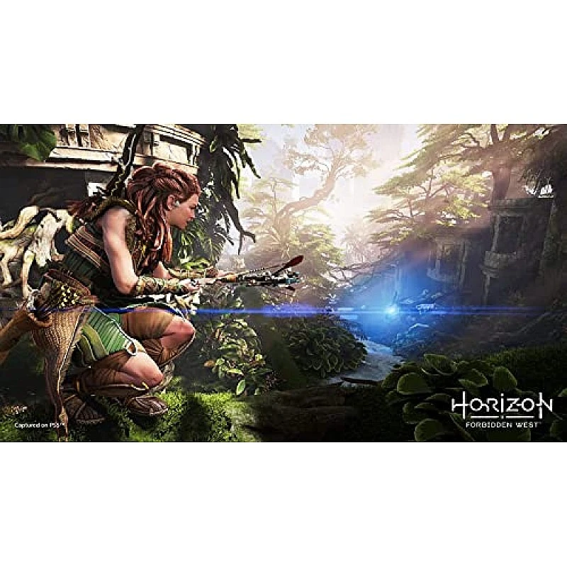 Sony Horizon Forbidden West Standard Edition PS5 Game PlayStation 5 Sony Horizon Forbidden West Standard Edition PS5 Game PlayStation 5