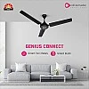 OTTOMATE Genius Connect Smart BLDC 5 Star Rated 3 Blade 1200 MM High Speed Ceiling fan with Remote (Black, Pack of 1) OTTOMATE Genius Connect Smart BLDC 5 Star Rated 3 Blade 1200 MM High Speed Ceiling fan with Remote (Black, Pack of 1)