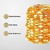 GIZGA essentials Copper LED Fairy String Lights with USB, High Brightness Party Light, 3 Meter, Warm White, Pack of 5 GIZGA essentials Copper LED Fairy String Lights with USB, High Brightness Party Light, 3 Meter, Warm White, Pack of 5
