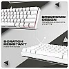 Cosmic Byte CB-GK-32 Themis 61 Key Mechanical Per Key RGB Gaming Keyboard Red Switches Black Cosmic Byte CB-GK-32 Themis 61 Key Mechanical Per Key RGB Gaming Keyboard Red Switches Black