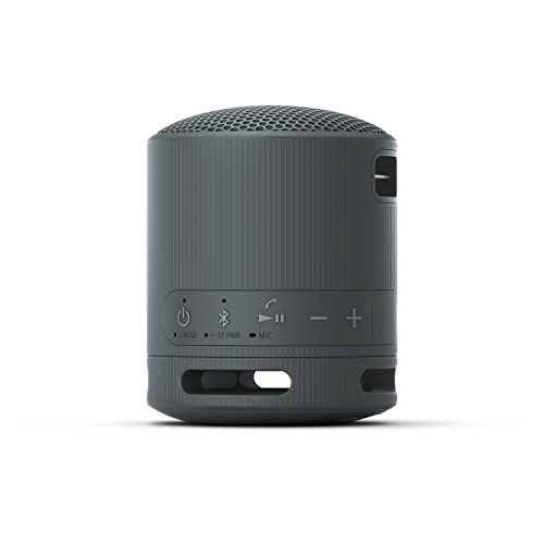 Sony SRS-XB100 Wireless Bluetooth Portable Lightweight Super-Compact Travel Speaker