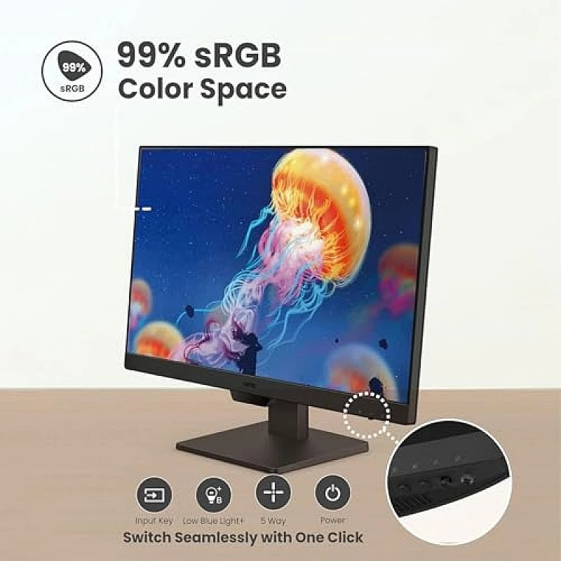 BenQ GW2490 24 1920x1080p FHD IPS Monitor 100Hz sRGB|Eye-careU|Dual HDMI (Black) BenQ GW2490 24 1920x1080p FHD IPS Monitor 100Hz sRGB|Eye-careU|Dual HDMI (Black)