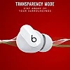 Beats Studio Buds Bluetooth Truly Wireless in Ear Earbuds with Mic (Black) Beats Studio Buds Bluetooth Truly Wireless in Ear Earbuds with Mic (Black)