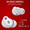 Beats Studio Buds Bluetooth Truly Wireless in Ear Earbuds with Mic (Black) Beats Studio Buds Bluetooth Truly Wireless in Ear Earbuds with Mic (Black)