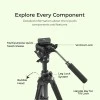 DIGITEK® (DPTR 895VD) 195 CM Tripod Cum Monopod with Aluminum Alloy & Multipurpose Head, 3-Way Head, Lightweight 590MM Folded with Carry Bag, Max Load 5Kg, Ideal for DSLR, DV Camera's DIGITEK® (DPTR 895VD) 195 CM Tripod Cum Monopod with Aluminum Alloy & Multipurpose Head, 3-Way Head, Lightweight 590MM Folded with Carry Bag, Max Load 5Kg, Ideal for DSLR, DV Camera's