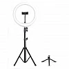 DIGITEK® (DRL-14C) Professional (31cm) Dual Temperature LED Ring Light with Tripod Stand & Mini Tripod for YouTube, Photo-Shoot, Video Shoot DIGITEK® (DRL-14C) Professional (31cm) Dual Temperature LED Ring Light with Tripod Stand & Mini Tripod for YouTube, Photo-Shoot, Video Shoot