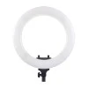 DIGITEK® (DRL 18RT C9) 18 Inch LED Ring Light with Remote Control & 250cm Stand - Smartphone Grip - AC Powered, USB Support - Adjustable Lighting Intensity - Photo, Video Shoots, Makeup, & Vlogging DIGITEK® (DRL 18RT C9) 18 Inch LED Ring Light with Remote Control & 250cm Stand - Smartphone Grip - AC Powered, USB Support - Adjustable Lighting Intensity - Photo, Video Shoots, Makeup, & Vlogging