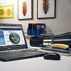 Dell 570-AAMH WM126 USB Optical LED 3-Button Mouse, Black Dell 570-AAMH WM126 USB Optical LED 3-Button Mouse, Black