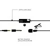 JBL Commercial CSLM20B Omnidirectional Lavalier Microphone with Battery for Content Creation, Voice over/Dubbing, Recording, black, small JBL Commercial CSLM20B Omnidirectional Lavalier Microphone with Battery for Content Creation, Voice over/Dubbing, Recording, black, small