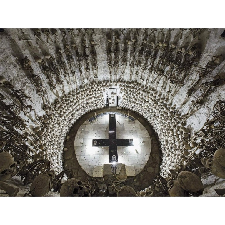Memento Mori: The Dead Among Us