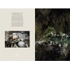 Memento Mori: The Dead Among Us
