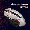 Quantum Snype 2.0 USB Wired Gaming Mouse with 1200/1600/2400/3200 Switchable DPI, 6 Programmable Keys Quantum Snype 2.0 USB Wired Gaming Mouse with 1200/1600/2400/3200 Switchable DPI, 6 Programmable Keys