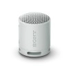 Sony SRS-XB100 Wireless Bluetooth Portable Lightweight Super-Compact Travel Speaker, Extra-Durable IP67 Waterproof & Dustproof, 16 Hrs Batt, Versatile Strap, Extra Bass & Hands-Free Calling-Blue