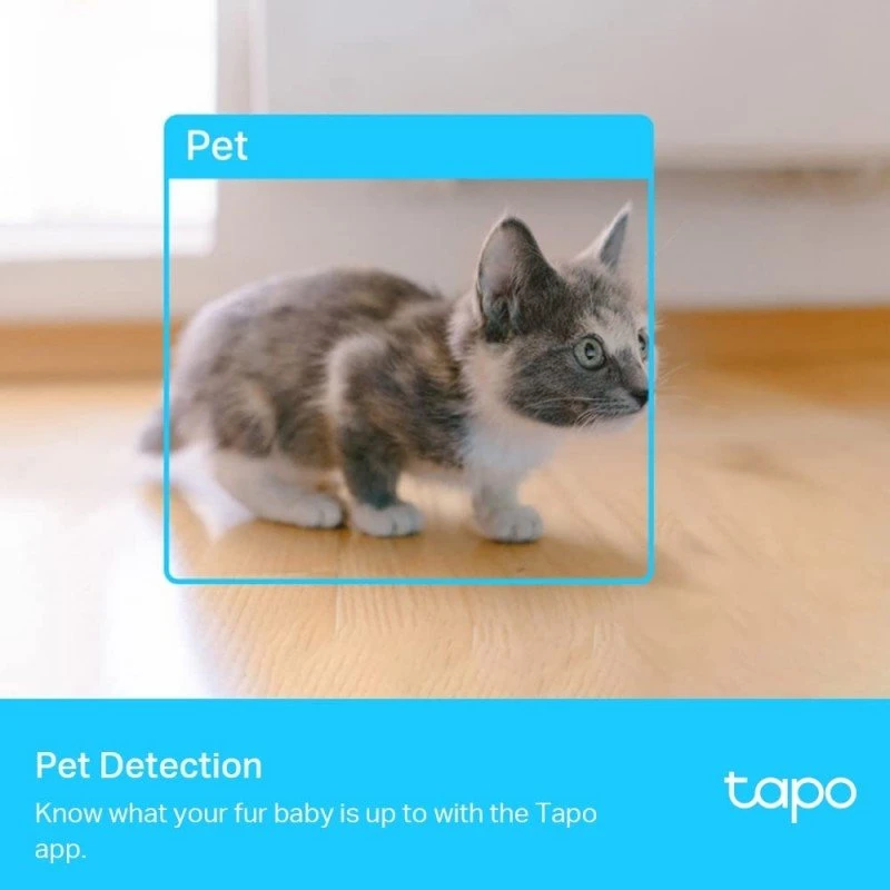 Tapo TP-Link C200 360° 2MP 1080p Full HD Pan/Tilt Home Security Wi-Fi Smart Camera| Alexa Enabled| 2-Way Audio| Night Vision| Motion Detection| Sound and Light Alarm| Indoor CCTV White- Tapo TP-Link C200 360° 2MP 1080p Full HD Pan/Tilt Home Security Wi-Fi Smart Camera| Alexa Enabled| 2-Way Audio| Night Vision| Motion Detection| Sound and Light Alarm| Indoor CCTV White-