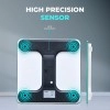 beatXP Gravity Flora Digital Weight Machine For Body Weight with Thick Tempered Glass, Best Bathroom Weighing Scale with LCD Display - 2 Year Warranty