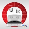 boAt Airdopes 621 Bluetooth Truly Wireless in Ear Earbuds with Mic (White Frost)