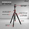 Hiffin HF-550 Tripod, 65 inches Special Quality Camera Tripod for Canon Nikon DSLR, Aluminum Alloy Tripod with 360 Degree Ball Head, Professional Tripod for Travel and Work (Black) Hiffin HF-550 Tripod, 65 inches Special Quality Camera Tripod for Canon Nikon DSLR, Aluminum Alloy Tripod with 360 Degree Ball Head, Professional Tripod for Travel and Work (Black)