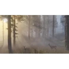 PS4 Red Dead Redemption 2  (for PS4)