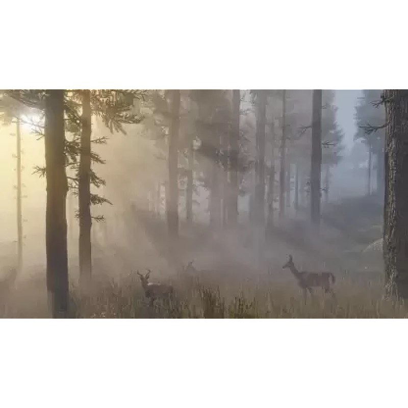 PS4 Red Dead Redemption 2 (for PS4) PS4 Red Dead Redemption 2 (for PS4)