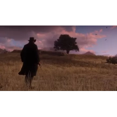 PS4 Red Dead Redemption 2  (for PS4)