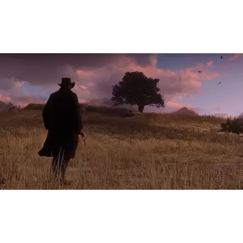 PS4 Red Dead Redemption 2 (for PS4) PS4 Red Dead Redemption 2 (for PS4)