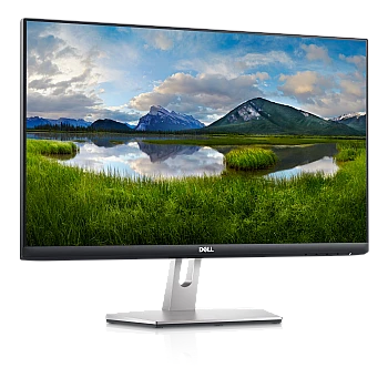 Dell S2421HN 60.96 cm (24 Inch) with IPS Panel Technology, 1920 x 1080 Resolution, Refresh Rate 75 Hz, Display Port, Silver Monitor