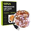 GIZGA essentials Copper LED Fairy String Lights with USB, High Brightness Party Light, 3 Meter, Warm White, Pack of 5 GIZGA essentials Copper LED Fairy String Lights with USB, High Brightness Party Light, 3 Meter, Warm White, Pack of 5