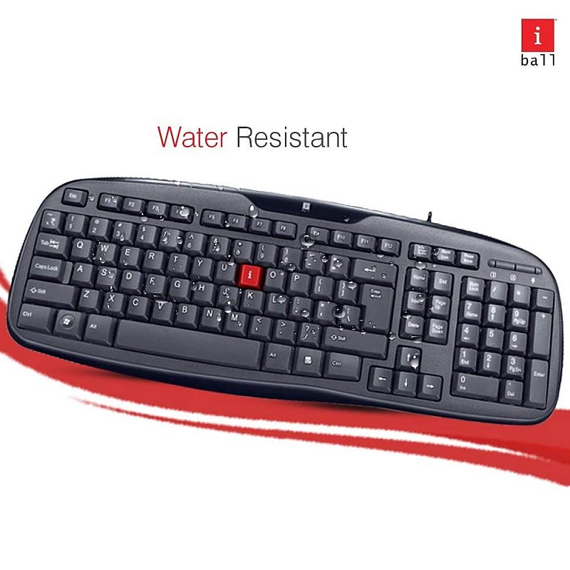 iBall Winner V2.0 Wired USB Desktop Keyboard (Black) iBall Winner V2.0 Wired USB Desktop Keyboard (Black)