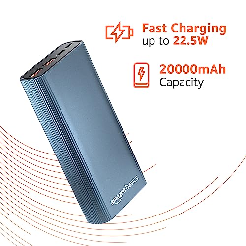 amazon basics 10000mAh 12W Lithium-Polymer Power Bank Dual Input, Dual Output Black